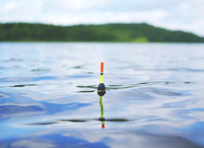 Schwimmerangeln auf Forellen