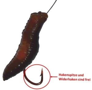 wurmstueck-am-haken