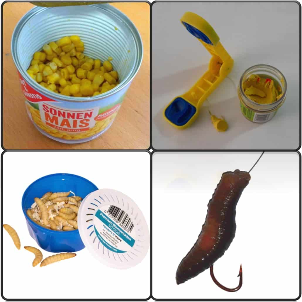 Welcher Forellenköder? ⇒ Die Grundlage des Fangerfolgs!