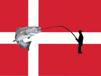forellenangeln_in_daenemark